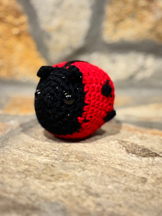 Small Lady Bug