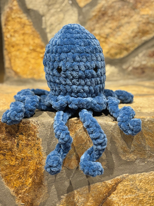 Jellyfish